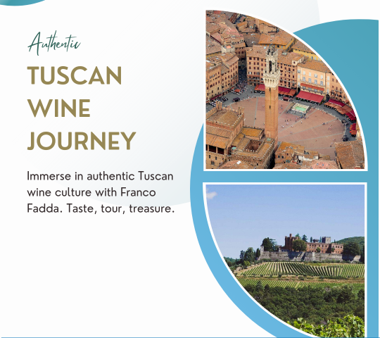 Wine Tasting Tours