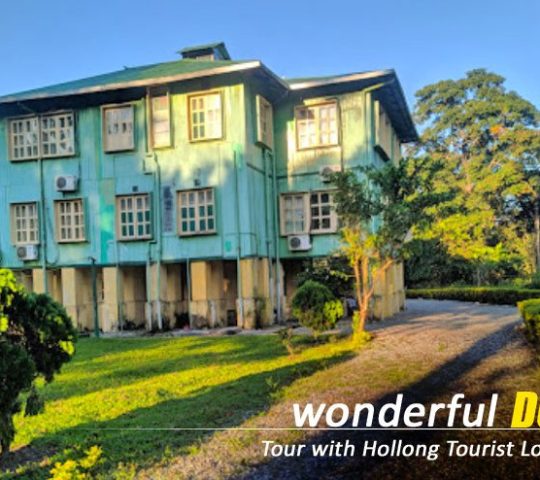 Dooars Tour Package from Siliguri: Discover Forests, Rivers & Wildlife