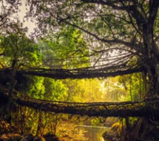 Plan Your Perfect North East Tour Package to Visit Arunachal Pradesh