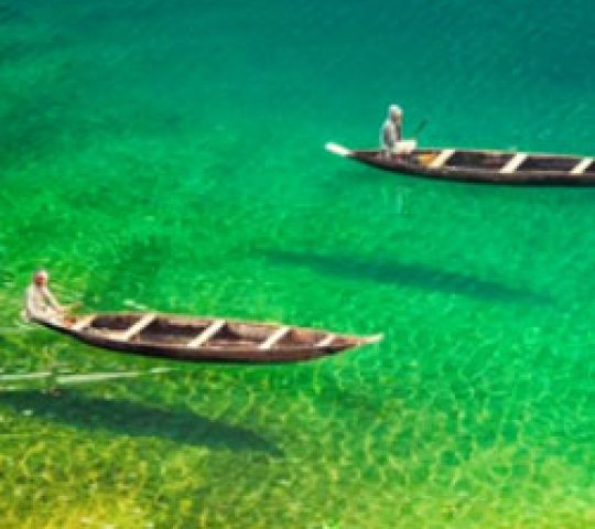 North East Tour Package – Unveil India’s Hidden Gem with NatureWings Holidays North East Tour Package – Unveil India’s Hidden Gem with NatureWings Holidays