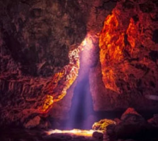 North East Tour Package – A Blend of Nature, Culture, and Tranquility