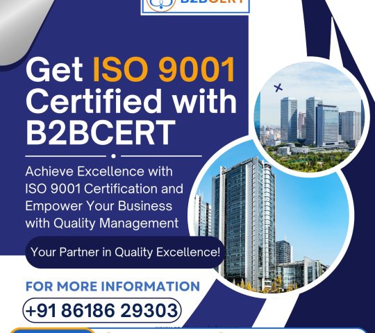 ISO 9001 Consultants in Saudi Arabia