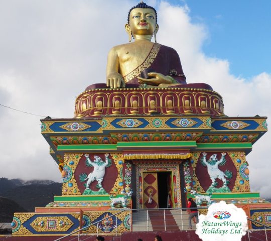 Premium Kaziranga Tour Package from Guwahati: Explore the Wild Heart of Assam
