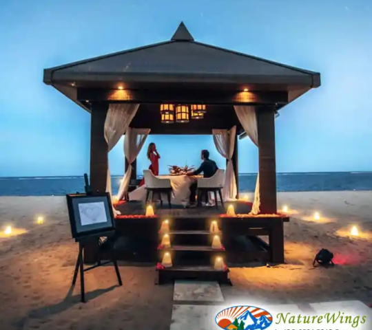 NatureWings Holidays Budget-Friendly Bali Package Tour from Kolkata with Instant Permit Assistance