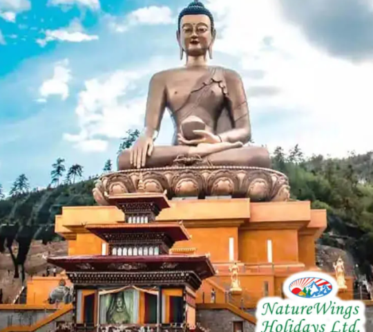 Exclusive Bhutan Tour Package from Delhi Featuring Direct Flights and E-Permits || NatureWings Holidays Limited Exclusive Bhutan Tour Package from Delhi Featuring Direct Flights and E-Permits || NatureWings Holidays Limited