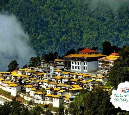 The Ultimate North East Tour Package: Discover the Hidden Gems of India