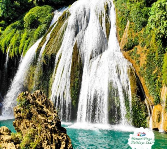 Unlock the Magic of the Seven Sisters: Premium North East Tour Package Unlock the Magic of the Seven Sisters: Premium North East Tour Package