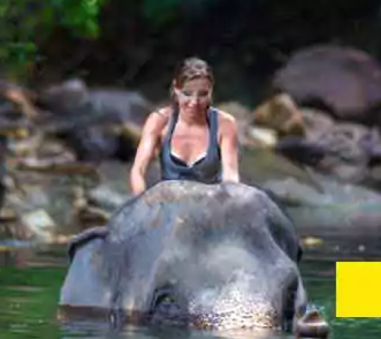 Experience Nature, Culture & Adventure with Nepal Tour Packages